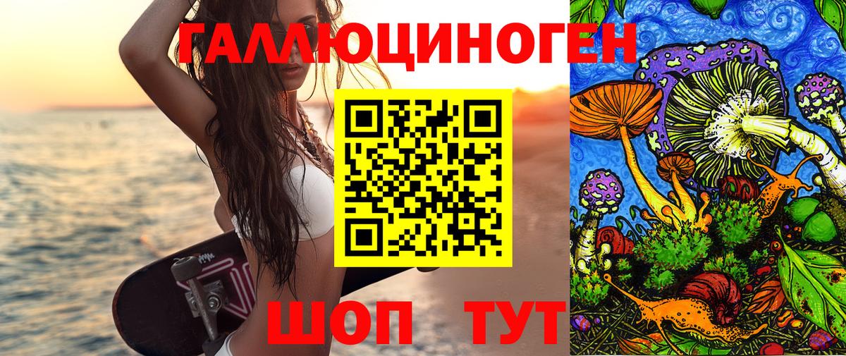 Галлюциногенные грибы Psilocybe Костомукша