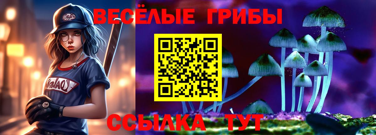 Костомукша  Галлюциногенные грибы прущие грибы  Вход с VPN 